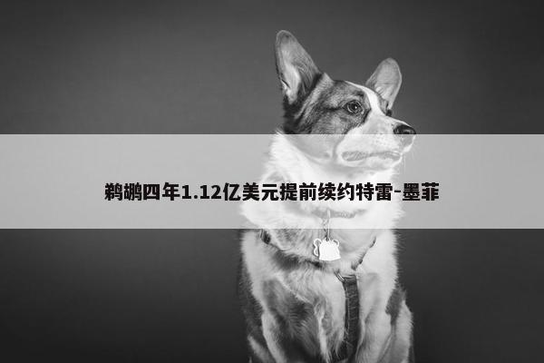 鹈鹕四年1.12亿美元提前续约特雷-墨菲