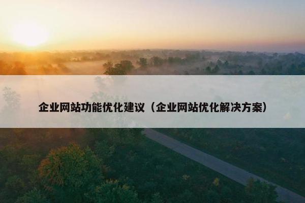 企业网站功能优化建议（企业网站优化解决方案）