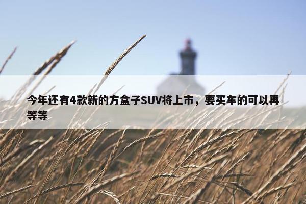 今年还有4款新的方盒子SUV将上市，要买车的可以再等等