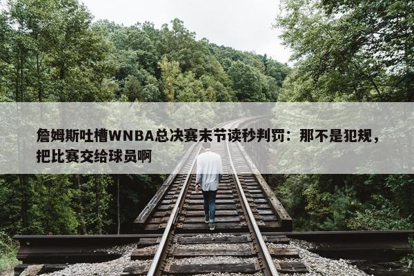 詹姆斯吐槽WNBA总决赛末节读秒判罚：那不是犯规，把比赛交给球员啊