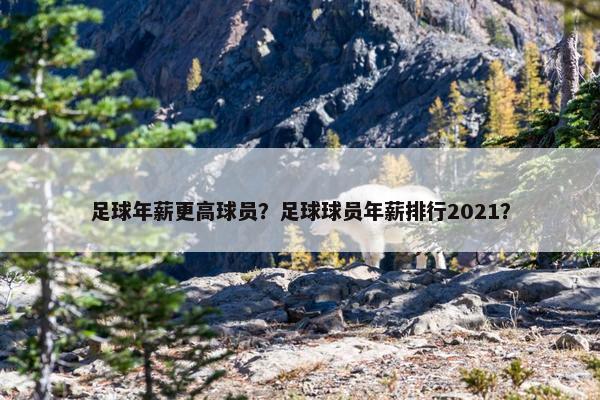 足球年薪更高球员？足球球员年薪排行2021？