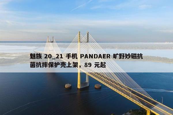 魅族 20_21 手机 PANDAER 旷野妙磁抗菌抗摔保护壳上架，89 元起