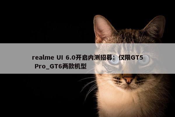 realme UI 6.0开启内测招募：仅限GT5 Pro_GT6两款机型