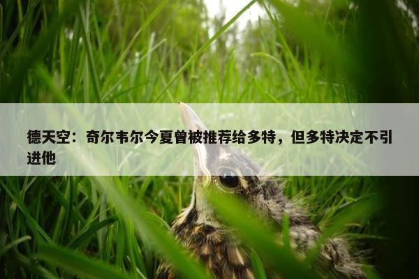 德天空：奇尔韦尔今夏曾被推荐给多特，但多特决定不引进他