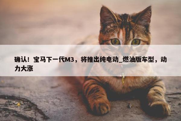 确认！宝马下一代M3，将推出纯电动_燃油版车型，动力大涨