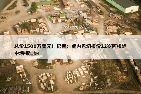 总价1500万美元！记者：费内巴切报价22岁阿根廷中场梅迪纳