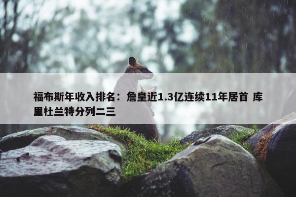 福布斯年收入排名：詹皇近1.3亿连续11年居首 库里杜兰特分列二三