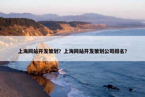 上海网站开发策划？上海网站开发策划公司排名？