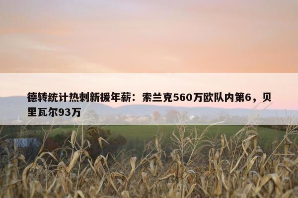 德转统计热刺新援年薪：索兰克560万欧队内第6，贝里瓦尔93万