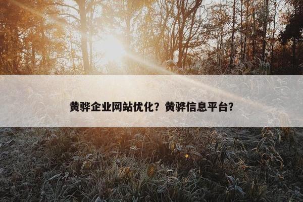 黄骅企业网站优化？黄骅信息平台？