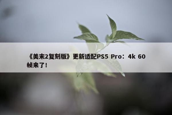 《美末2复刻版》更新适配PS5 Pro：4k 60帧来了！