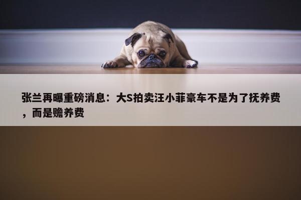 张兰再曝重磅消息：大S拍卖汪小菲豪车不是为了抚养费，而是赡养费