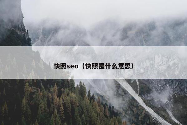 快照seo（快照是什么意思）