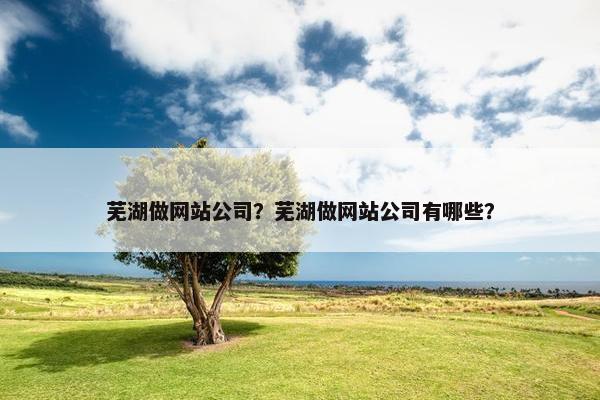 芜湖做网站公司？芜湖做网站公司有哪些？