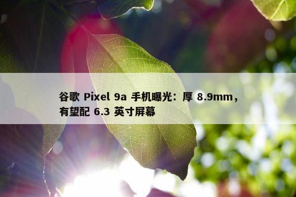 谷歌 Pixel 9a 手机曝光：厚 8.9mm，有望配 6.3 英寸屏幕