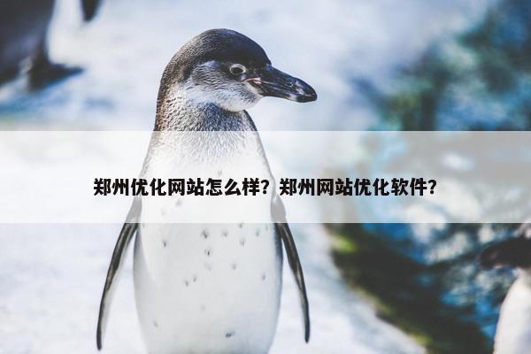 郑州优化网站怎么样？郑州网站优化软件？