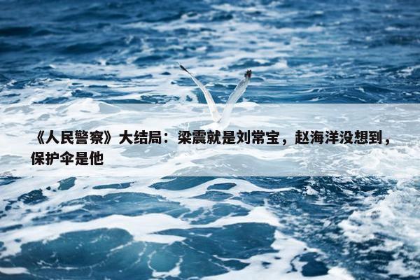 《人民警察》大结局：梁震就是刘常宝，赵海洋没想到，保护伞是他