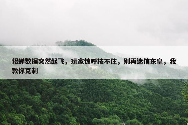 貂蝉数据突然起飞，玩家惊呼按不住，别再迷信东皇，我教你克制