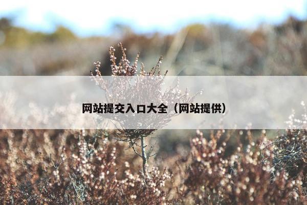 网站提交入口大全（网站提供）