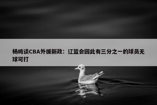 杨鸣谈CBA外援新政：辽篮会因此有三分之一的球员无球可打