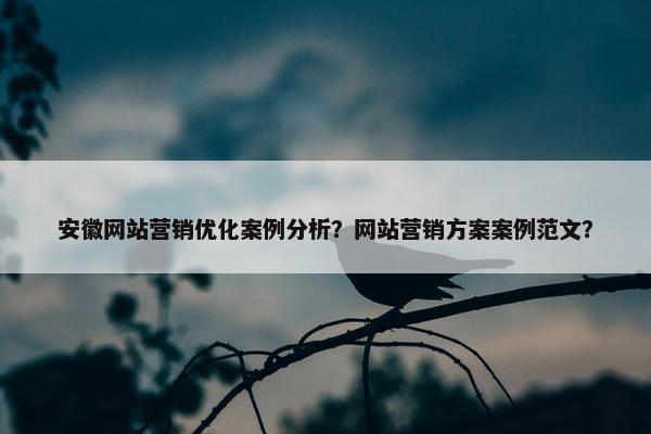 安徽网站营销优化案例分析？网站营销方案案例范文？