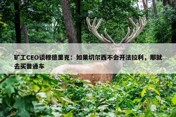 矿工CEO谈穆德里克：如果切尔西不会开法拉利，那就去买普通车