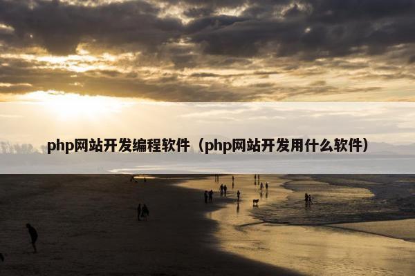 php网站开发编程软件（php网站开发用什么软件）