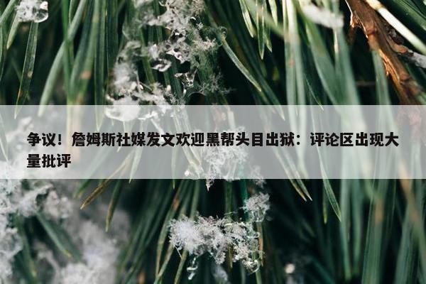 争议！詹姆斯社媒发文欢迎黑帮头目出狱：评论区出现大量批评