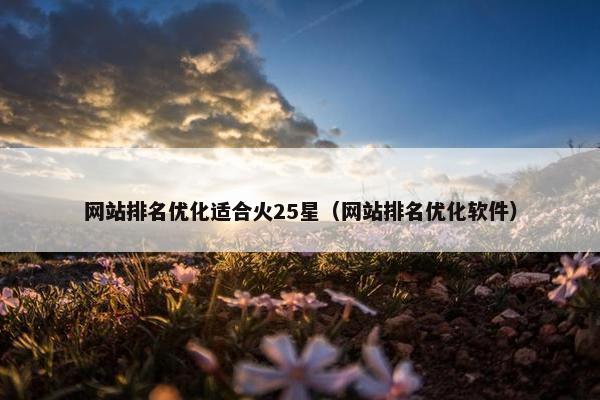 网站排名优化适合火25星（网站排名优化软件）