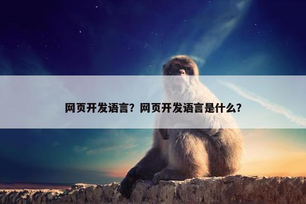 网页开发语言？网页开发语言是什么？