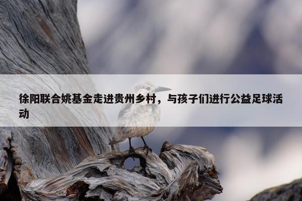 徐阳联合姚基金走进贵州乡村，与孩子们进行公益足球活动