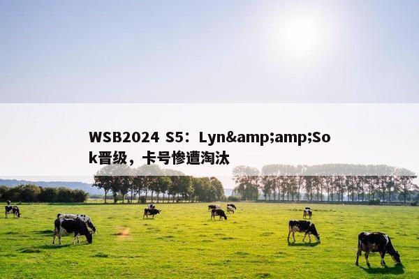 WSB2024 S5：Lyn&amp;Sok晋级，卡号惨遭淘汰