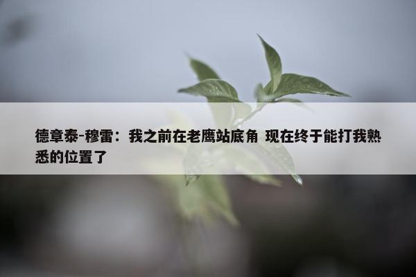 德章泰-穆雷：我之前在老鹰站底角 现在终于能打我熟悉的位置了