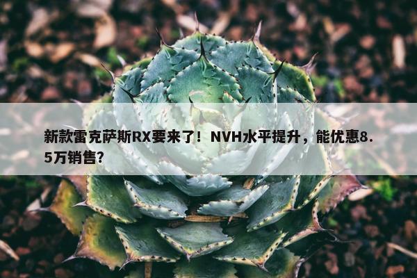 新款雷克萨斯RX要来了！NVH水平提升，能优惠8.5万销售？