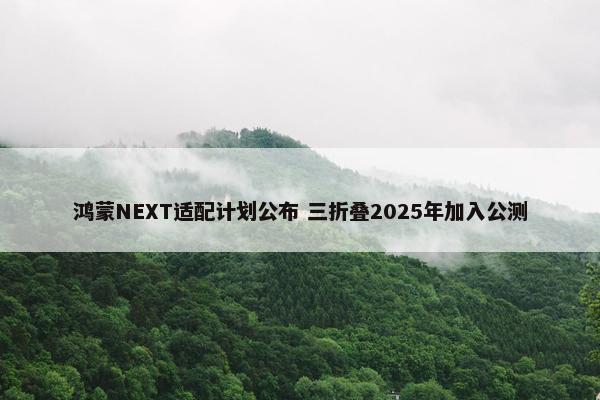 鸿蒙NEXT适配计划公布 三折叠2025年加入公测