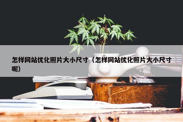 怎样网站优化照片大小尺寸（怎样网站优化照片大小尺寸呢）