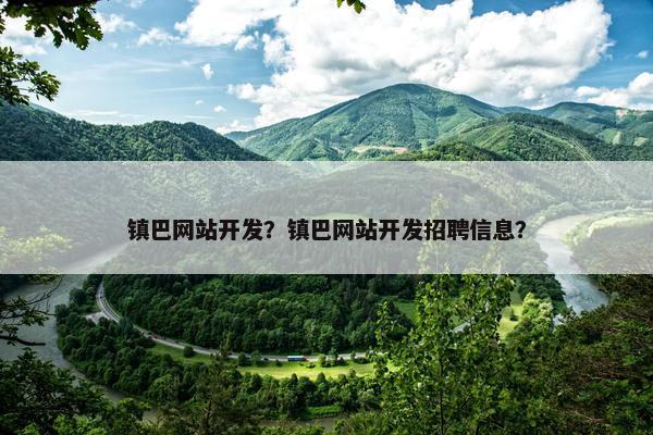 镇巴网站开发？镇巴网站开发招聘信息？