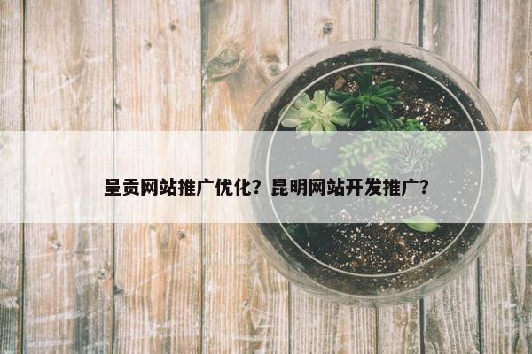 呈贡网站推广优化？昆明网站开发推广？