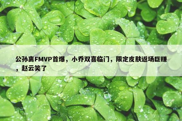 公孙离FMVP首爆，小乔双喜临门，限定皮肤返场巨赚，赵云笑了