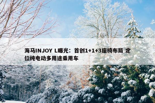 海马INJOY L曝光：首创1+1+3座椅布局 定位纯电动多用途乘用车