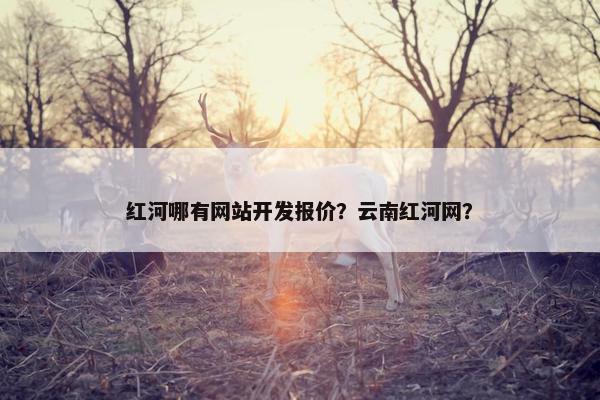 红河哪有网站开发报价？云南红河网？