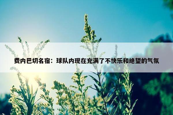 费内巴切名宿：球队内现在充满了不快乐和绝望的气氛