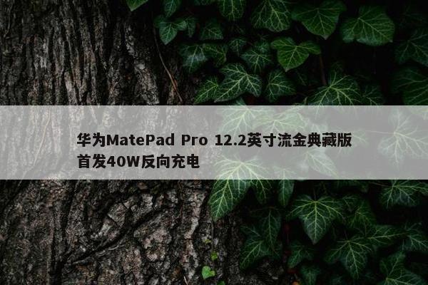 华为MatePad Pro 12.2英寸流金典藏版首发40W反向充电