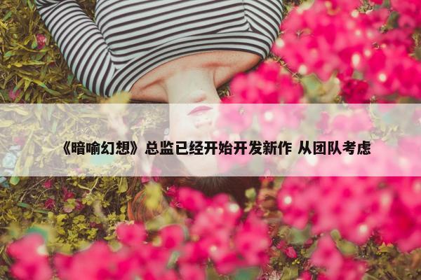 《暗喻幻想》总监已经开始开发新作 从团队考虑