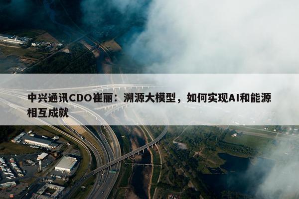 中兴通讯CDO崔丽：溯源大模型，如何实现AI和能源相互成就