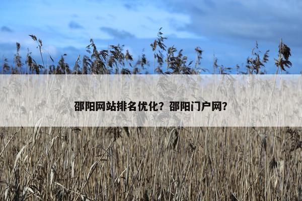 邵阳网站排名优化？邵阳门户网？