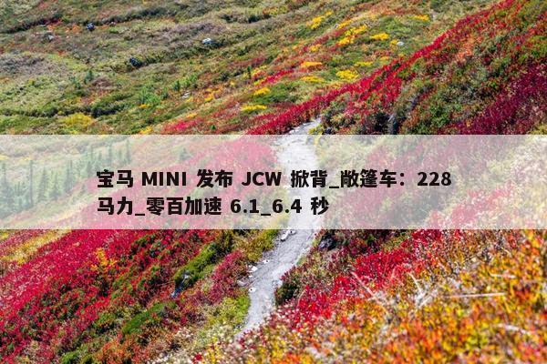 宝马 MINI 发布 JCW 掀背_敞篷车：228马力_零百加速 6.1_6.4 秒