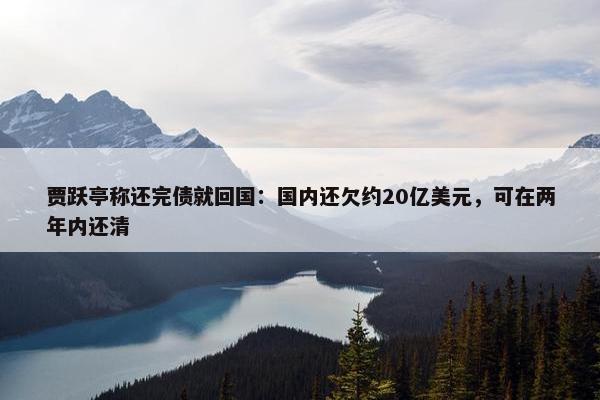 贾跃亭称还完债就回国：国内还欠约20亿美元，可在两年内还清