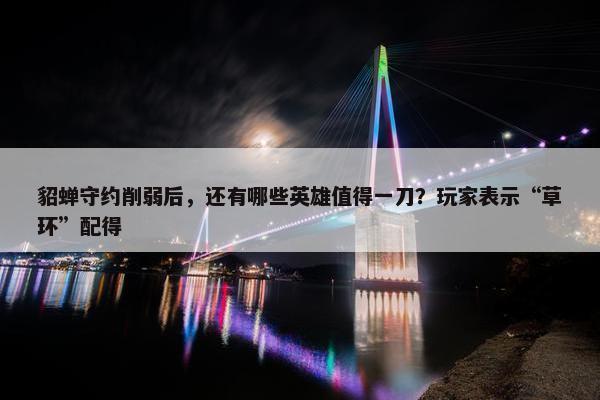 貂蝉守约削弱后，还有哪些英雄值得一刀？玩家表示“草环”配得