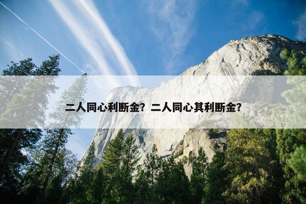 二人同心利断金？二人同心其利断金？